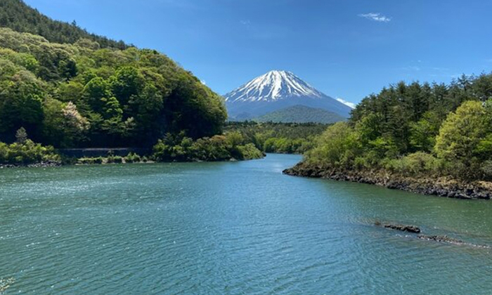 富士山西湖