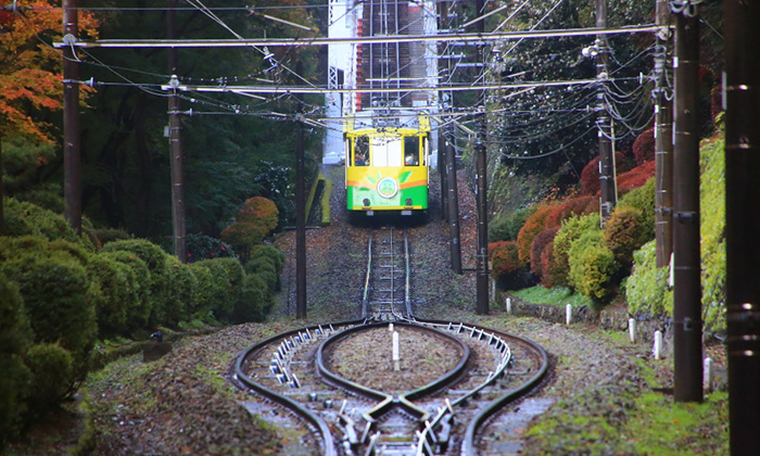 高尾山（Mt. Takao）