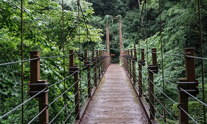 高尾山（Mt. Takao）