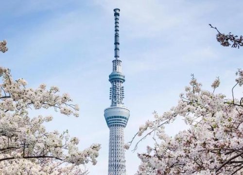 東京晴空塔