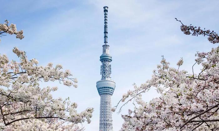 東京晴空塔（Tokyo Skytree）