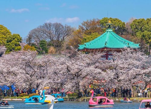 東京上野公園