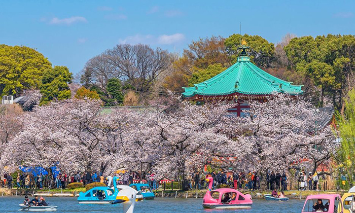 上野公園（Ueno Park）