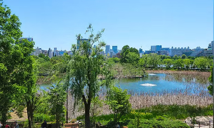 上野公園（Ueno Park）